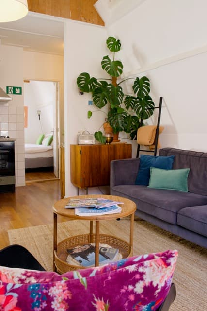 Woonkamer met monstera